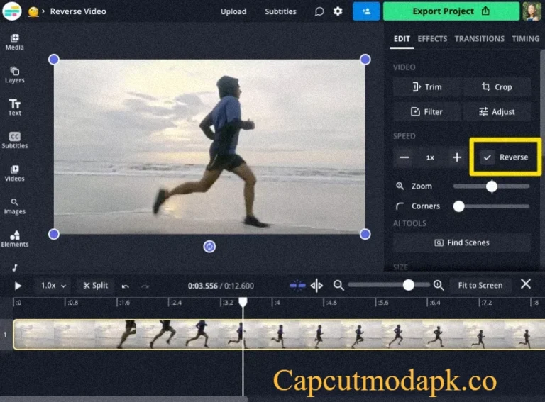 CapCut reverse video feature for creative edits
